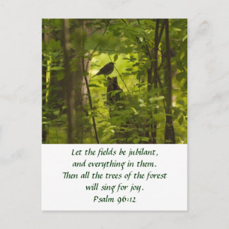Cartão Postal Catbird no Forest Green