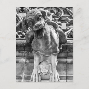 Cartão Postal Catedral de Munster Gargoyle - Berna - Suiça