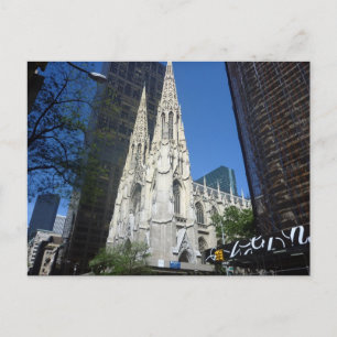 Cartão Postal catedral de patricos