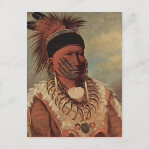 Cartão Postal Catlin Native Art