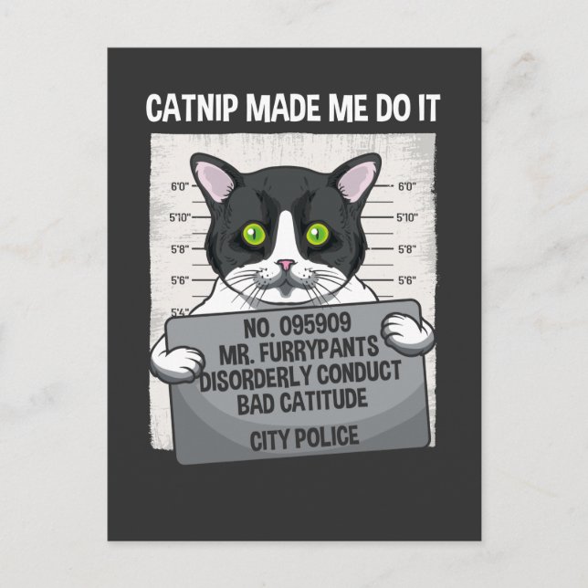 Cartão Postal Catnip Me Fez Fazer Isso Engraçado Gato Preso Poli (Frente)