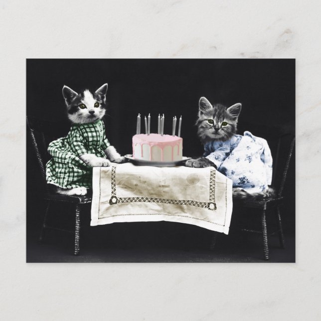 Cartão Postal Cats celebrating a birthday with cake and candles (Frente)