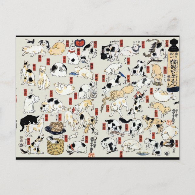 Cartão Postal Cats Galore (Frente)