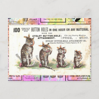 Cartão Postal Cats Vitorianos Vintage com Cartão-Postal com Dore