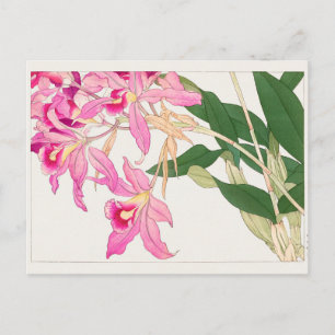 Cartão Postal Cattleya por Tanigami Konan