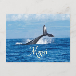 Cartão Postal Cauda de Baleia no Oceano Maui Havaí