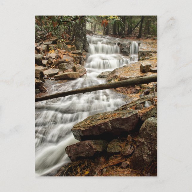Cartão Postal Caudal florestal tranquila (Frente)