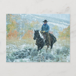 Cartão Postal Cavaleiro 19