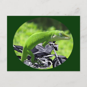 Cartão Postal Cavaleiro de Gecko Havaiano Verde