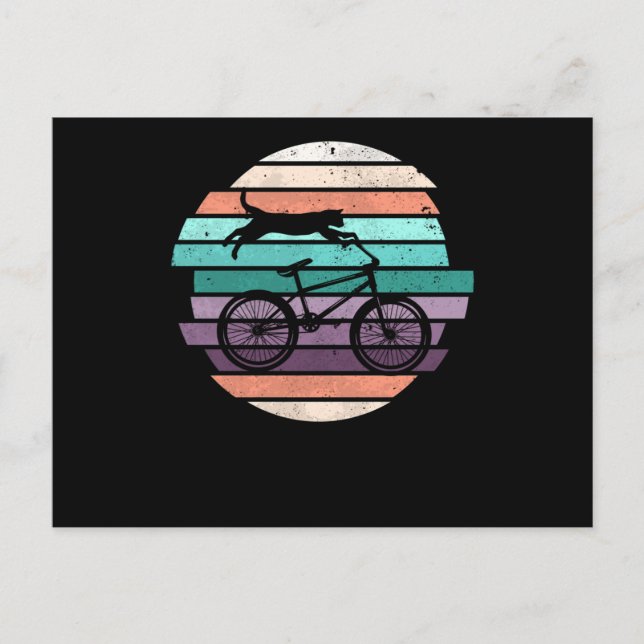 Cartão Postal Cavaleiro de motocross cat (Frente)