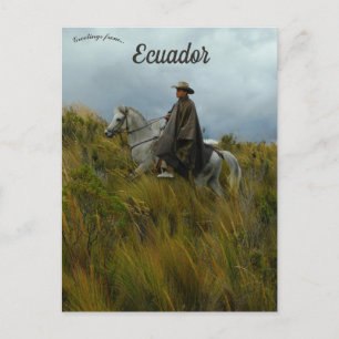 Cartão Postal Cavaleiro e Cavalo em Cotopaxi Equador