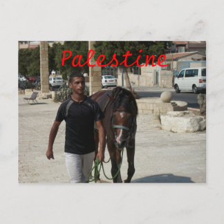 Cartão Postal Cavaleiro Palestiniano