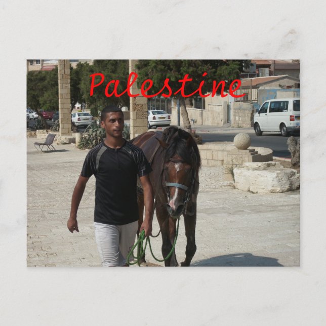 Cartão Postal Cavaleiro Palestiniano (Frente)