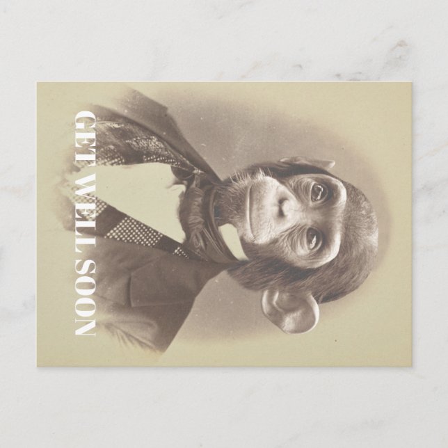Cartão Postal Cavalheiro Chimpanzé dizendo "Fique Bem Em Breve" (Frente)
