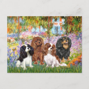 Cartão Postal Cavalier (4) - no Jardim de Monet