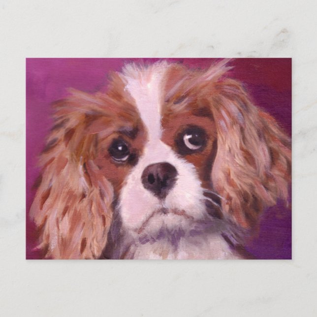 Cartão Postal Cavalier King Charles Spaniel (Frente)