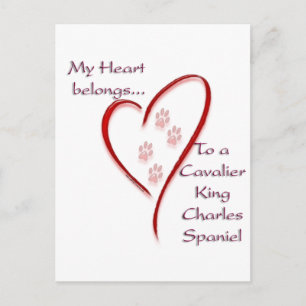 Cartão Postal Cavalier King Charles Spaniel Hearts pertence