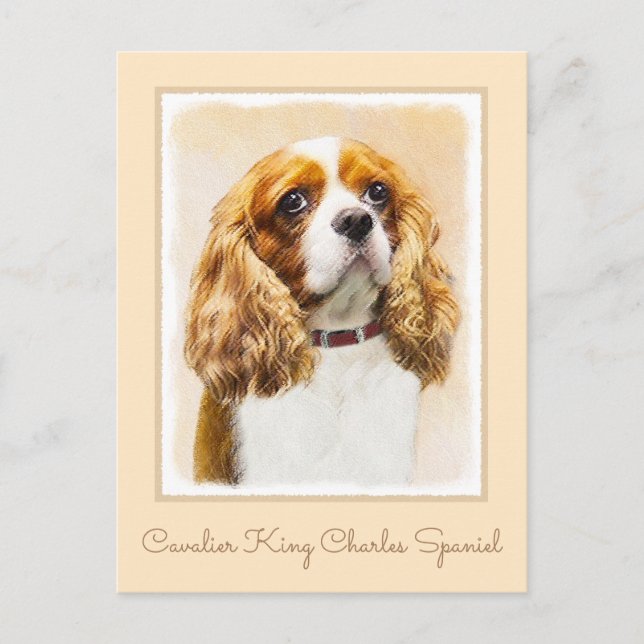 Cartão Postal Cavalier King Charles Spaniel Original (Frente)