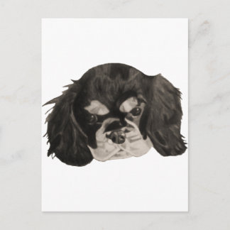 Cartão Postal Cavalier King Charles Spaniel Puppy