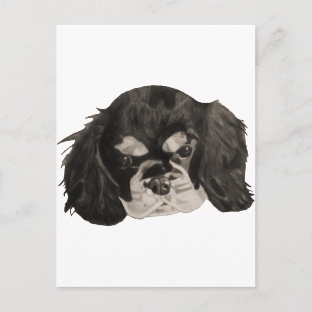 Cartão Postal Cavalier King Charles Spaniel Puppy (Frente)