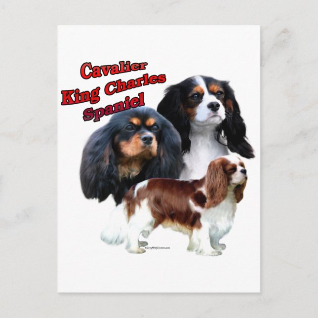 Cartão Postal Cavalier King Charles Spaniel Trio 2 (Frente)