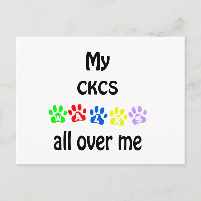Cartão Postal Cavalier King Charles Spaniel Walks Design (Frente)