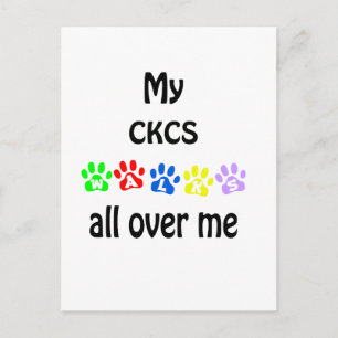 Cartão Postal Cavalier King Charles Spaniel Walks Design