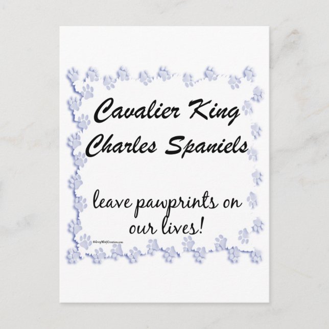 Cartão Postal Cavalier Pawprint (Frente)