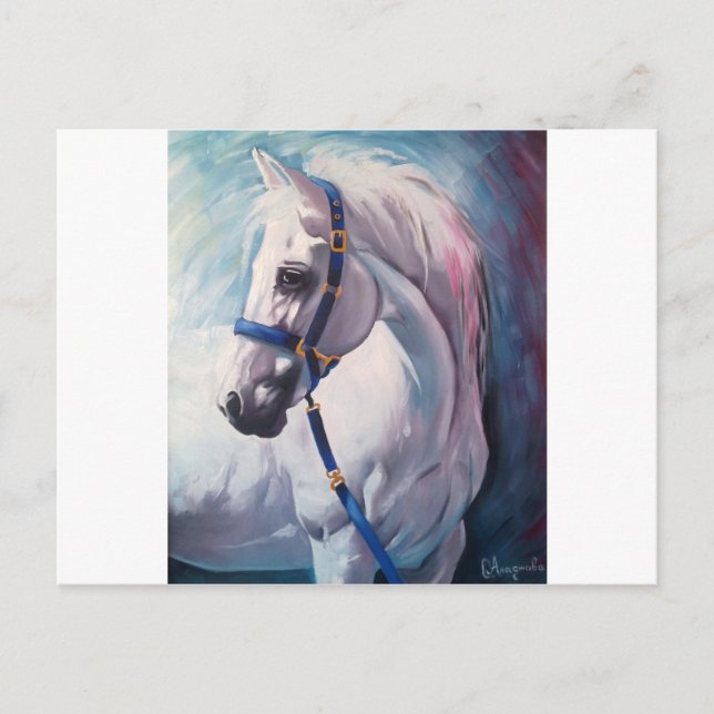Cartão Postal Cavalo (Frente)