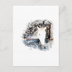 Cartão Postal Cavalo