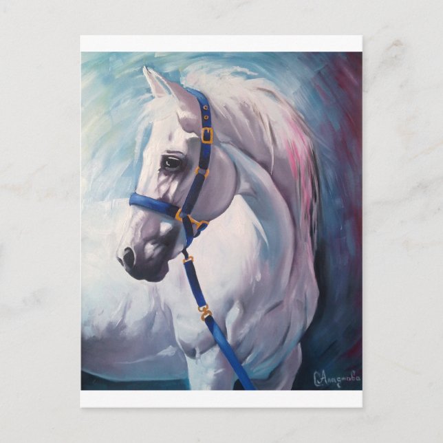 Cartão Postal Cavalo (Frente)