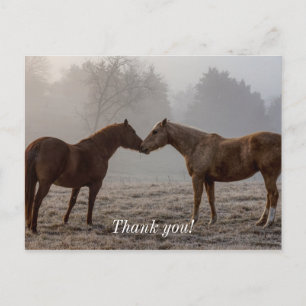 Cartão Postal Cavalo Amor Obrigado