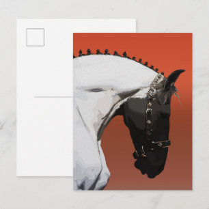 Cartão Postal Cavalo Andaluz Elegante – Majestosa Arte Equestre