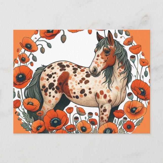 Cartão Postal Cavalo Appaloosa Cavalo Appy (Frente)