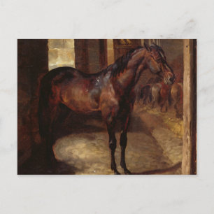 Cartão Postal Cavalo Baio Escuro no estábulo