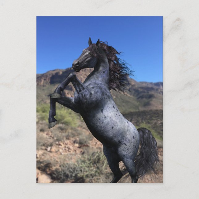 Cartão Postal Cavalo Blue Roan Empinando no Deserto Postcard (Frente)