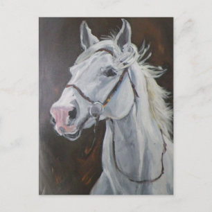 Cartão Postal Cavalo Branco