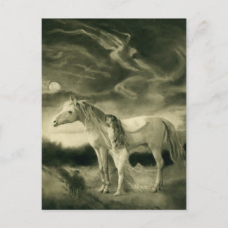 Cartão Postal cavalo branco