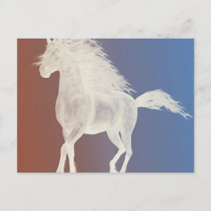 Cartão Postal Cavalo Branco
