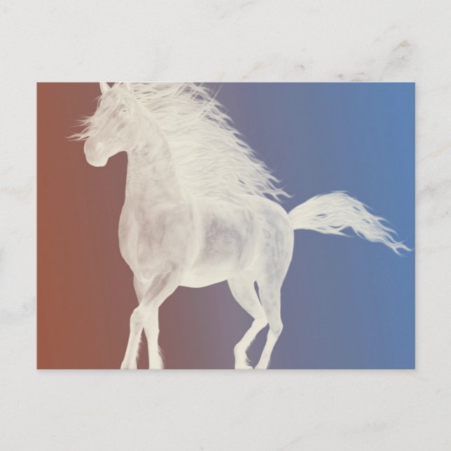 Cartão Postal Cavalo Branco (Frente)