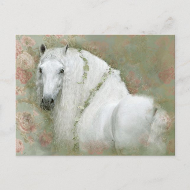 Cartão Postal Cavalo Branco - Cartão-postal (Frente)