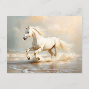 Cartão Postal Cavalo Branco Correndo na Praia