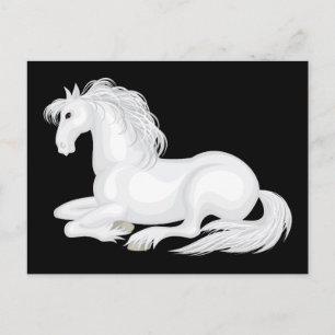 Cartão Postal Cavalo Branco Fofo Amor Equestre Cavalos Pônei