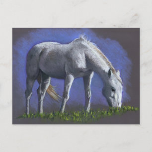 CARTÃO POSTAL CAVALO BRANCO: LÁPIS DE COR REALISTA