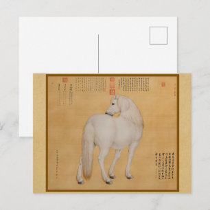 Cartão Postal Cavalo Branco Olhando para Trás - Arte Chinesa Vin