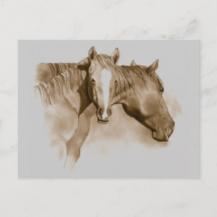 CARTÃO POSTAL CAVALO, CARNE: SEPIA: ARTE LÁPIS