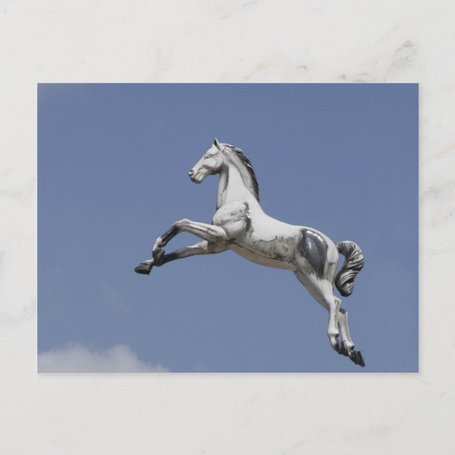 Cartão Postal Cavalo carrossel (Frente)