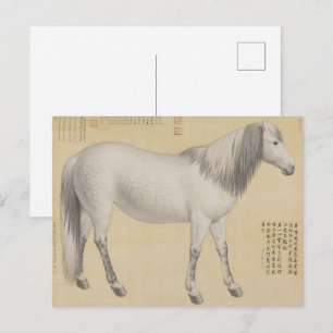 Cartão Postal Cavalo Cinzento Malhado - Arte Chinesa Fina Vintag