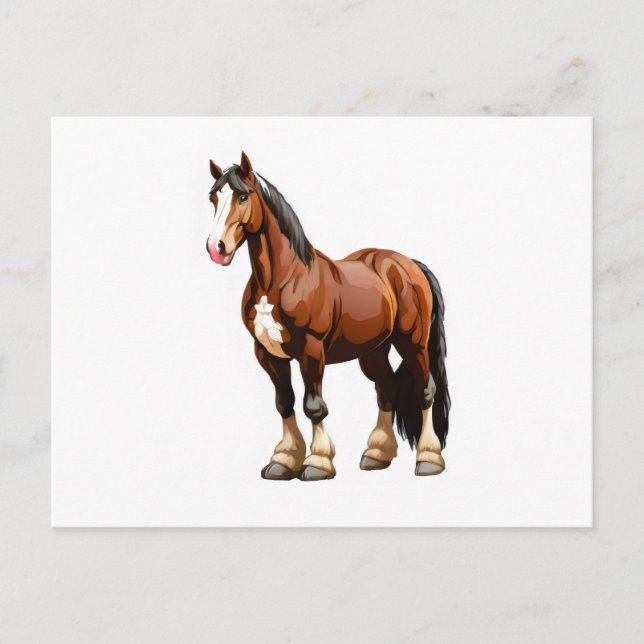 Cartão Postal Cavalo Clydesdale (Frente)