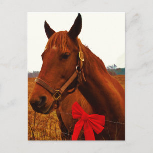 Cartão Postal Cavalo com Arco Vermelho